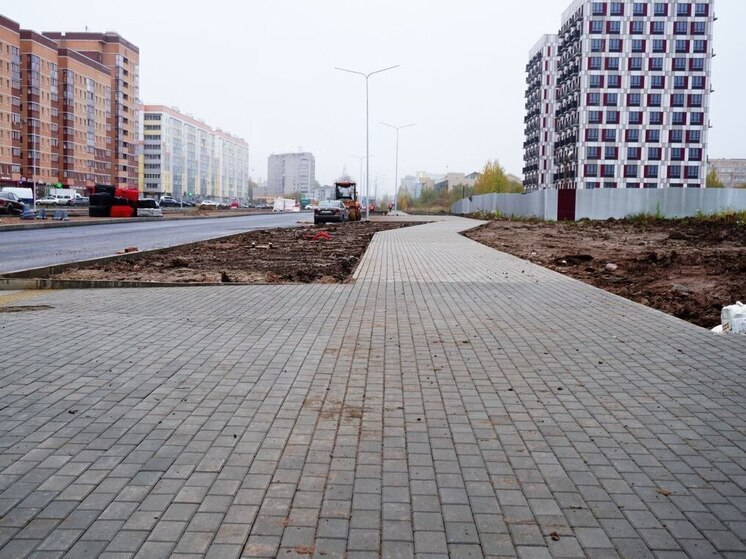 В Великом Новгороде на Большой Московской высадят яблони, сирень и клены