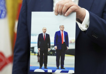 Президенты Дональд Трамп и Владимир Путин провели в четверг телефонный разговор, сообщил Fox News