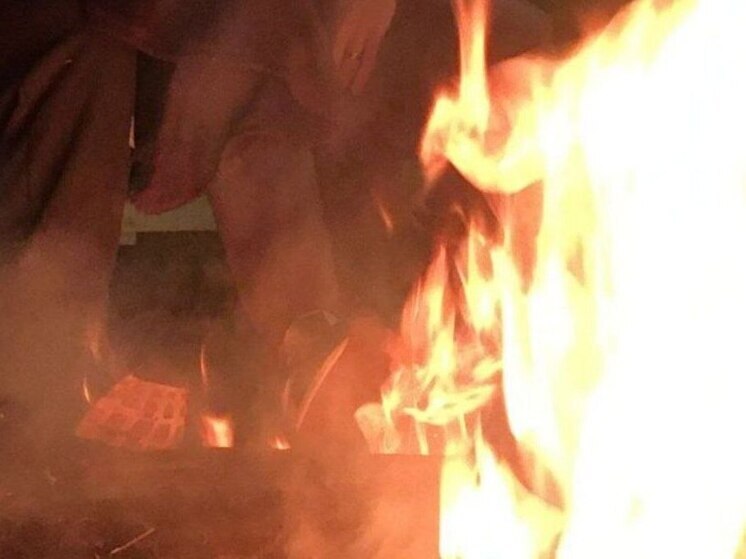 Следы черного ритуала в лесу обнаружили воронежцы