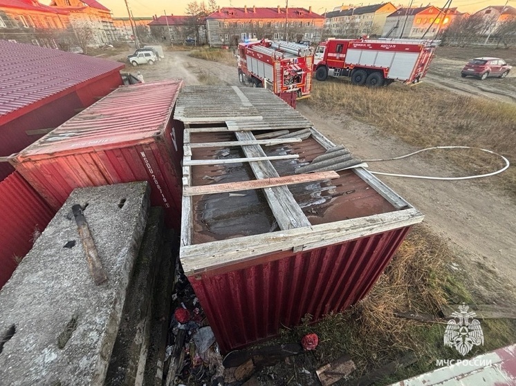 Пожар на задворках магазина усмирили в Нарьян-Маре