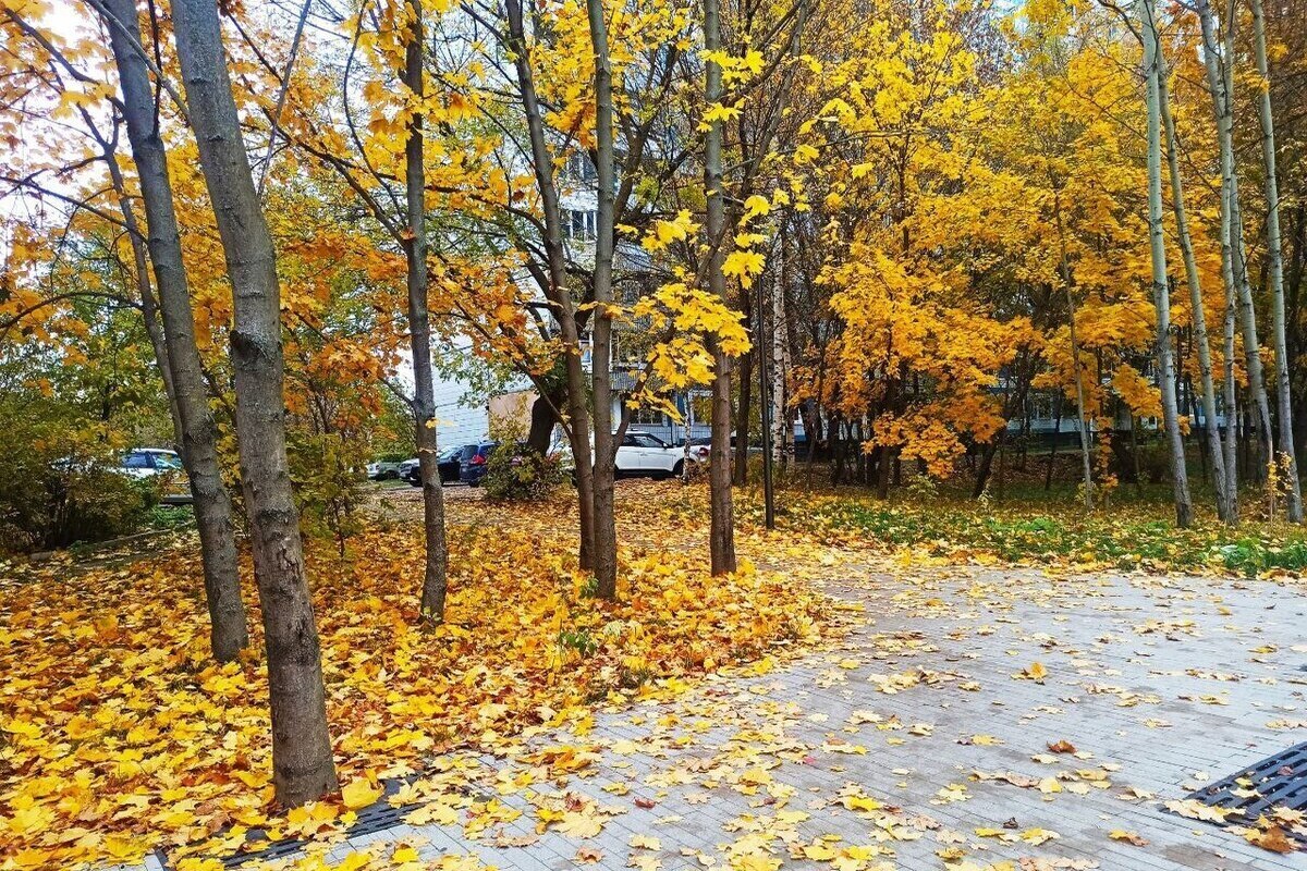 Опасное природное явление окутает Владимирскую область