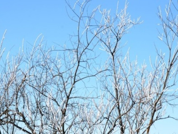 В пятницу на западе округа возможен снег