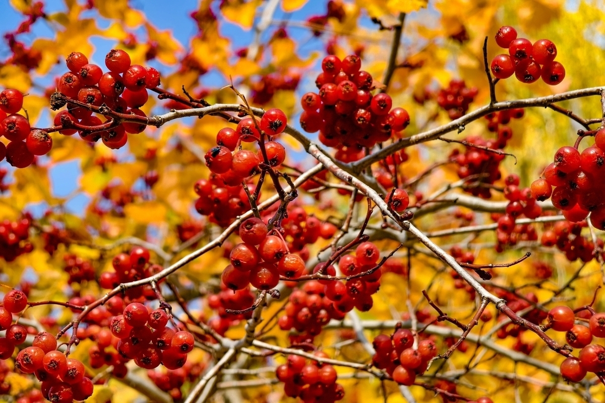 Переменная облачность и до -16°C: погода в Томской области на 17 октября