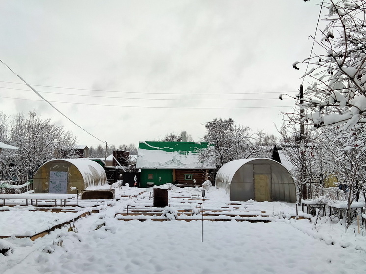 Что я делаю в саду в октябре, чтобы на следующий год собрать рекордный урожай