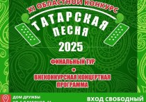 В Омске определяют лучших исполнителей, которым предстоит представить регион на крупнейшем национальном празднике – Федеральном Сабантуе-2026