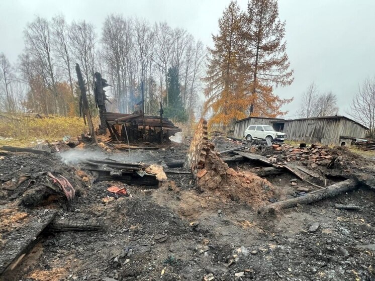 Мужчина погиб при пожаре в Плесецком округе