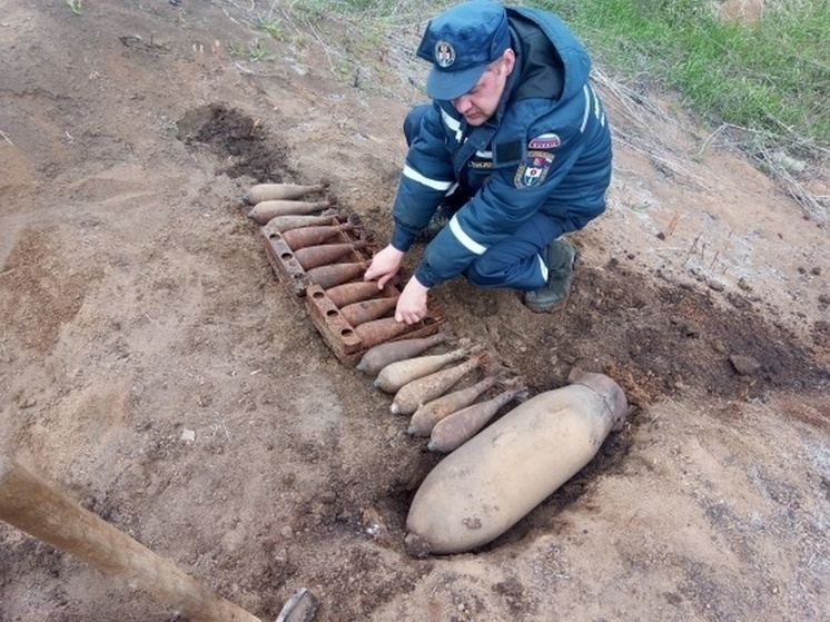 13 боеприпасов времен ВОВ взорвали в Воронежской области
