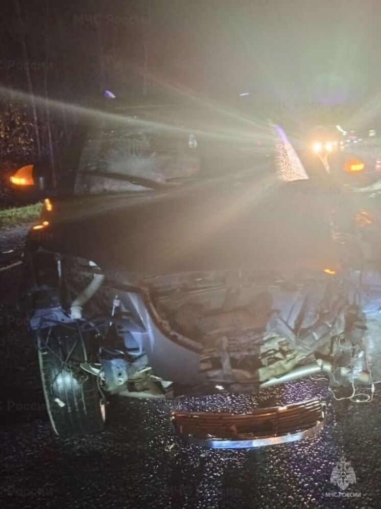 Несколько человек пострадали в ДТП с «Газелью» и лосём в Жиздринском районе