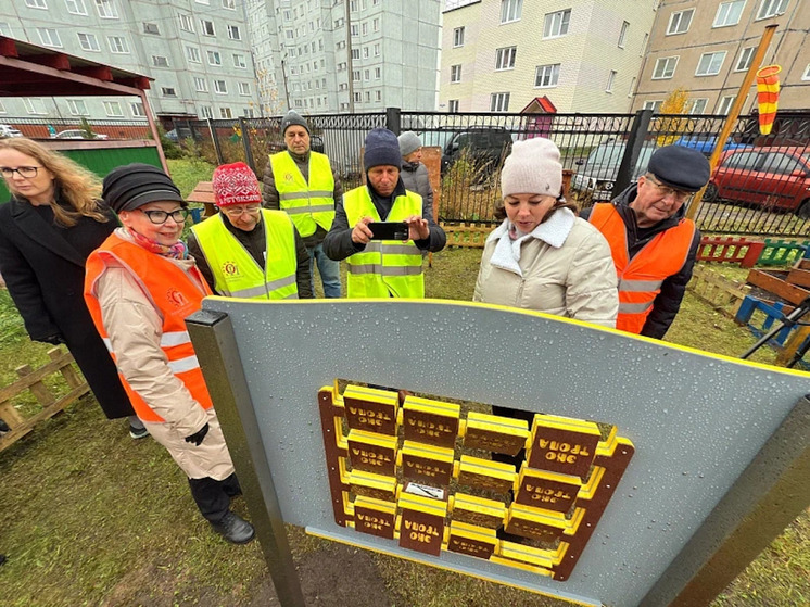Общественники проверили проекты «Комфортного Поморья» в Новодвинске