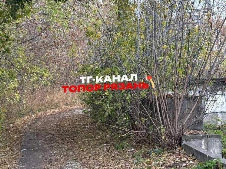 В Рязани полуголый мужчина приставал к студентам у колледжа
