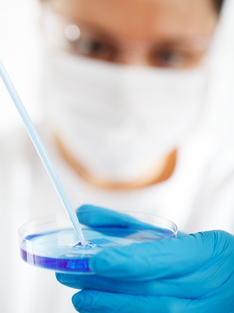 Эксперты установили причину отравления детей в школе Арзамаса