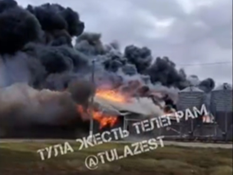 В Тульской области горят площади «Воловского Бройлера»