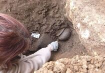 В Кении были обнаружены первые известные окаменелости рук вымершего родственника человека, которые показали, что этот доисторический вид обладал неожиданной ловкостью и хваткой гориллы