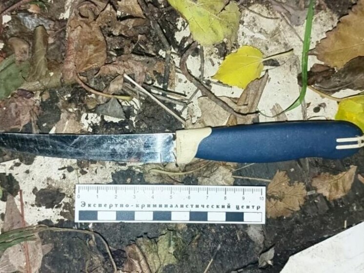 Астраханка подозревается в убийстве мужа после пьяной ссоры