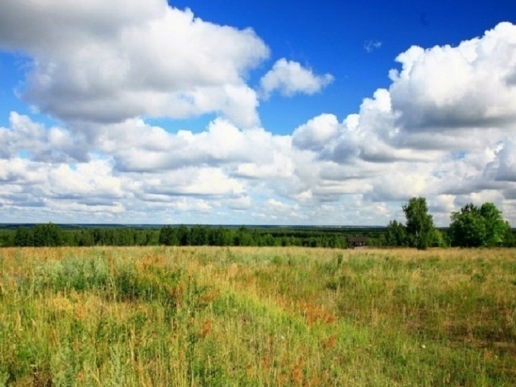 Нижегородский арендатор заплатит 80 млн руб за свалку на участке