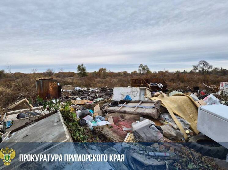 Прокуратура навела порядок: регоператор в Фокино оштрафован за скопление мусора