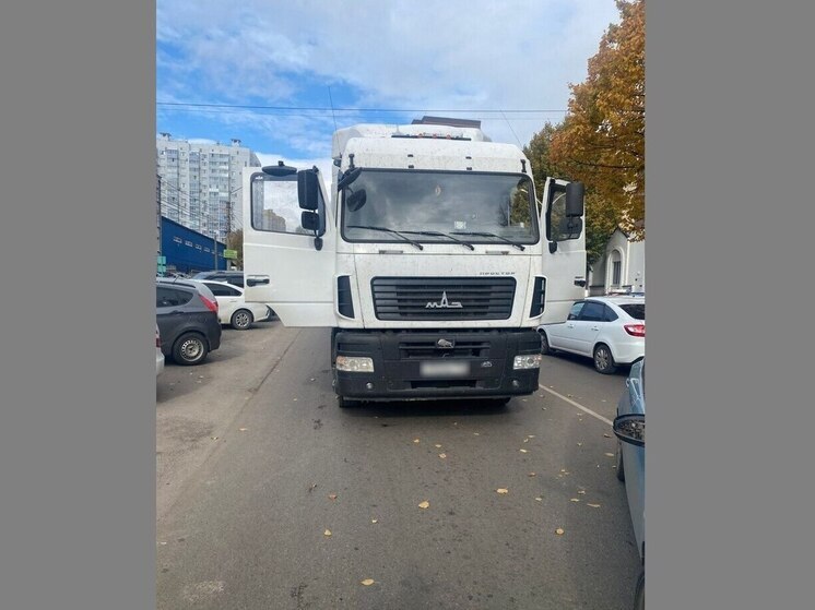 Пенсионерка попала под грузовик, переходя в Воронеже дорогу в неположенном месте