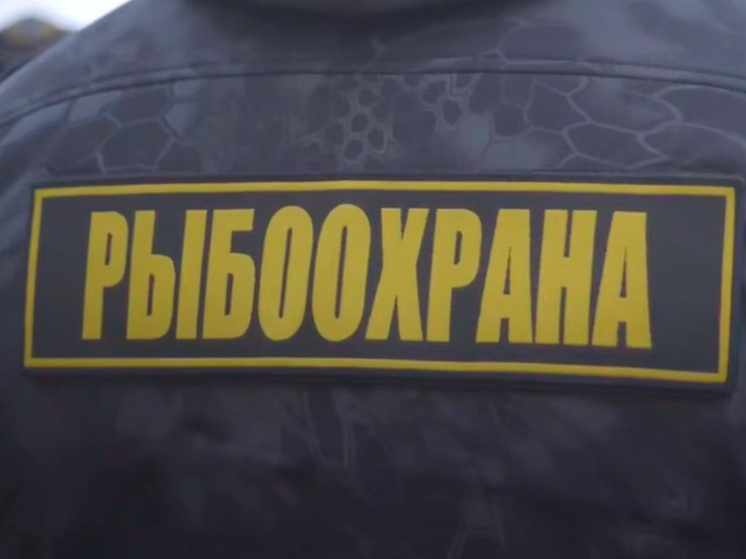 Липецкая река пополнится 2,2 миллионами мальков