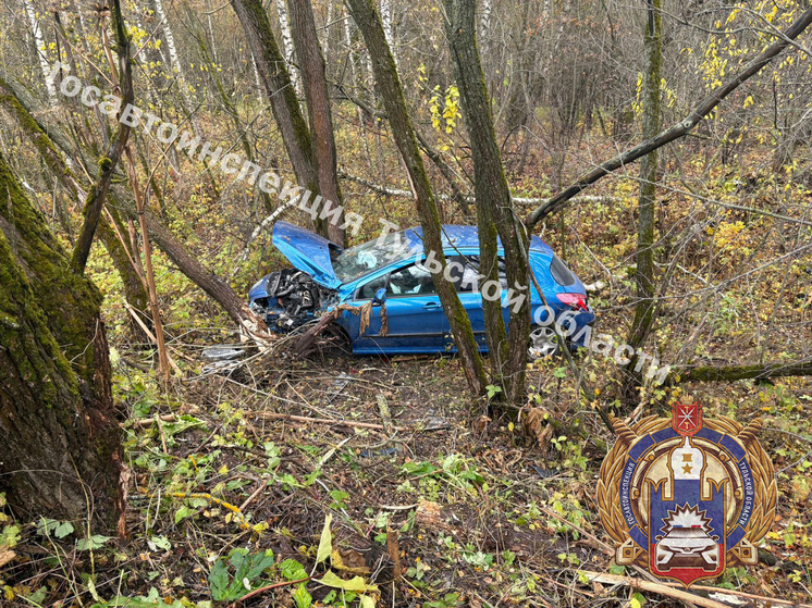 Начинающая автоледи на Peugeot под Тулой слетела в кювет и едва не покалечилась
