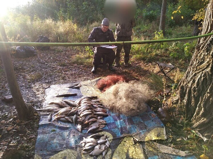 С начала октября у саратовских браконьеров изъяли 27 лодок