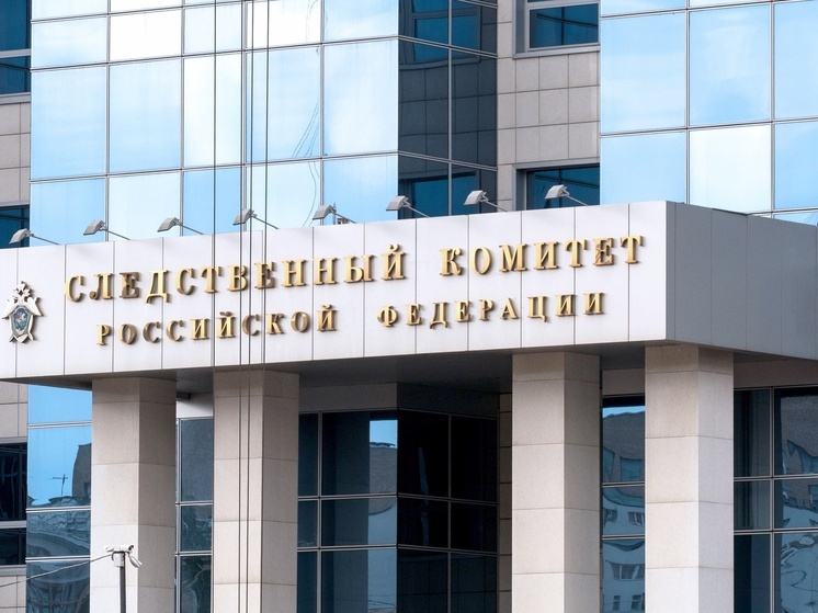 Александр Бастрыкин взял под контроль ситуацию с аварийным мостом в Карелии