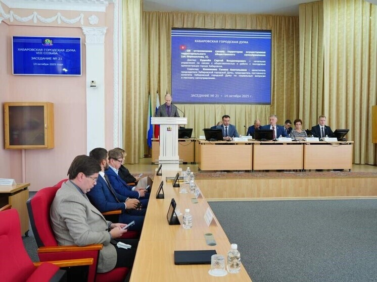 В Хабаровске утвердили еще три территориальных самоуправления