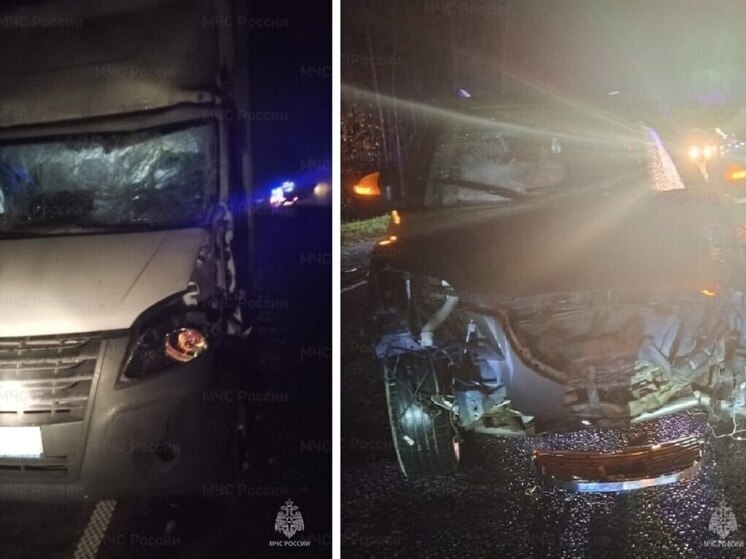 «Газель» сбила лося и врезалась в иномарку с ребёнком в Калужской области