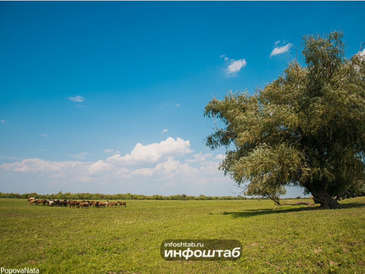 Астраханская область добивается отмены миграционной квоты для агросектора на 2026 год