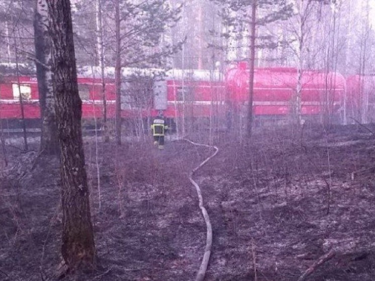 Шесть пожаров помогли ликвидировать поезда СвЖД