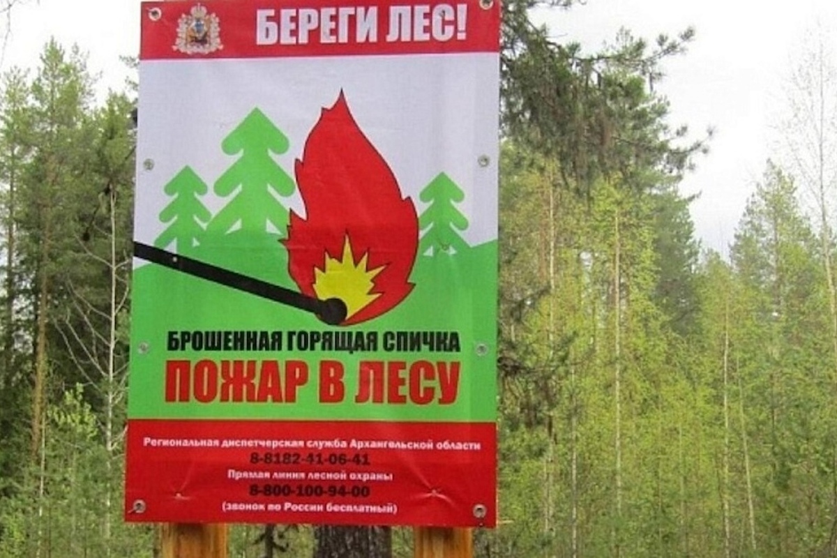 154 лесных пожара потушили в Архангельской области в этом сезоне