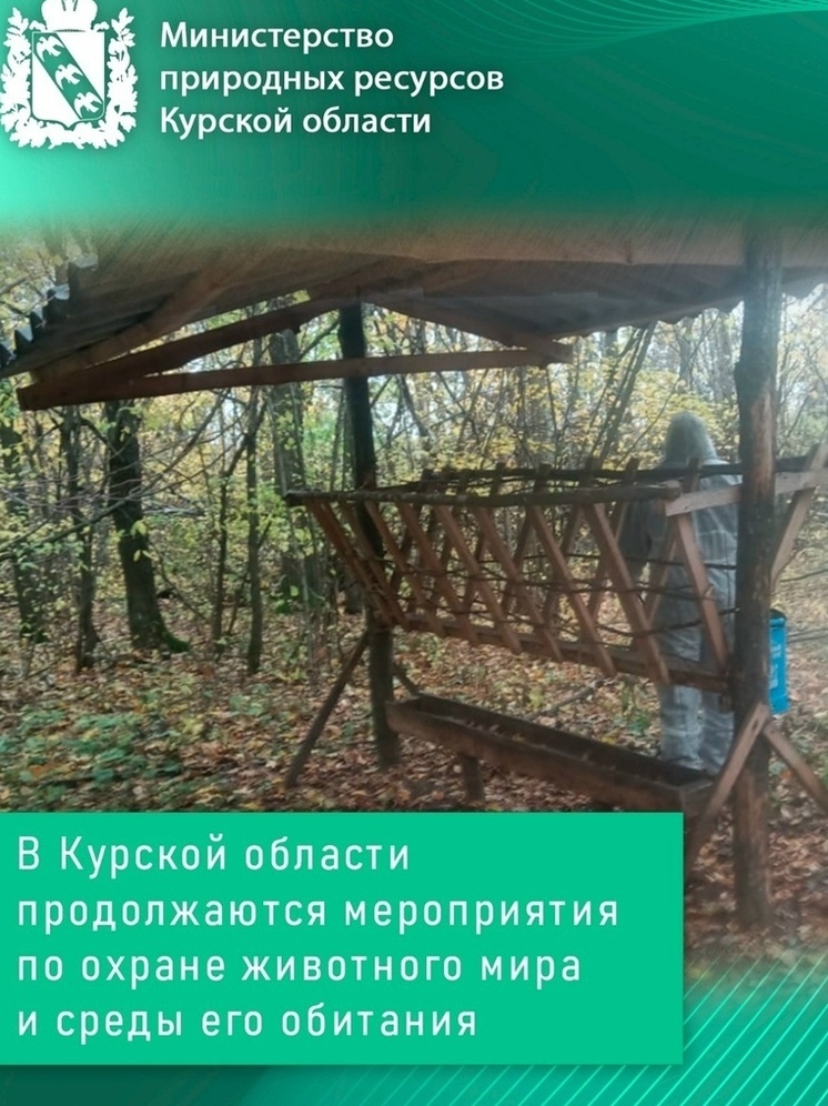 В Курской области охотоведы провели 154 рейда и поймали двух браконьеров