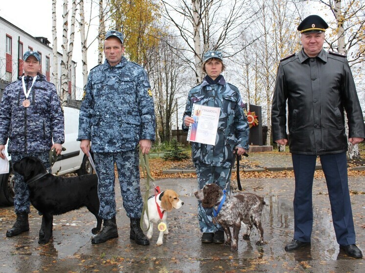В Архангельске определили лучших кинологов УФСИН Поморья