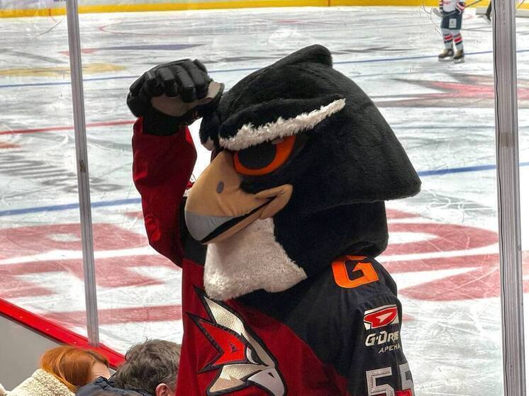 После последнего матча из состава «Авангарда» с травмами выбыли два игрока