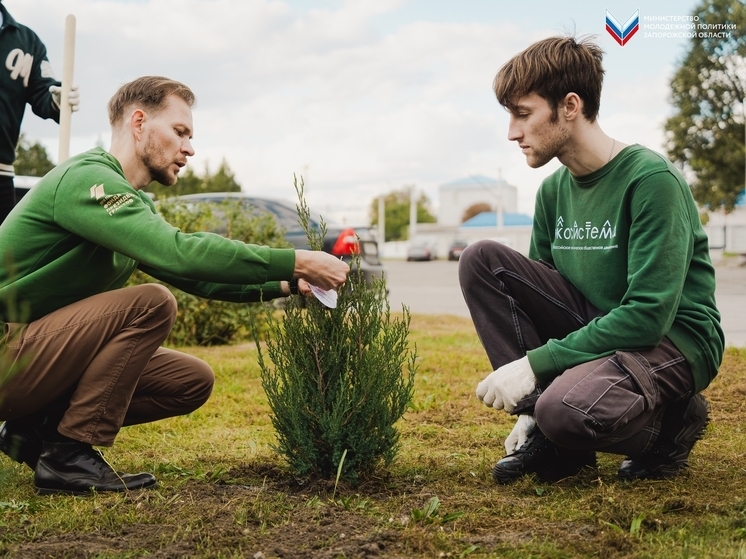 В Мелитополе заложили аллею Псковской молодежи