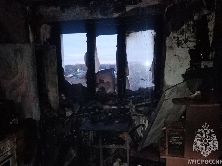 Во время пожара на улице Минской в Иванове погибла кошка