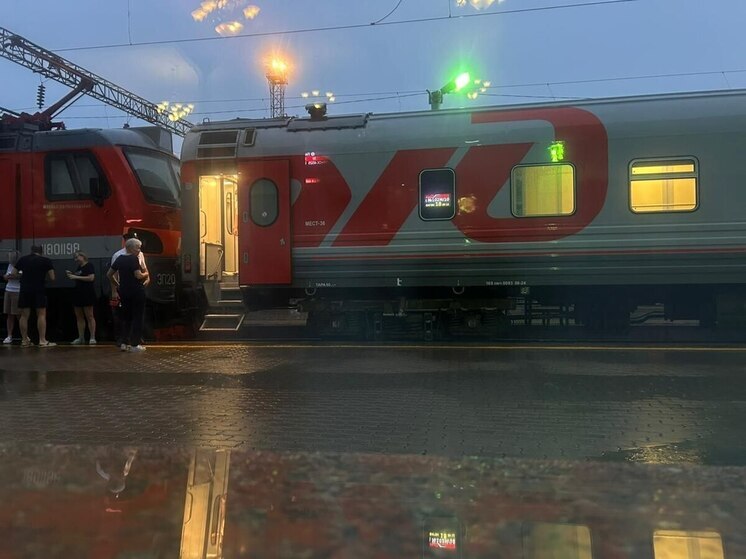 Поезда, следующие через Воронеж, задержались из-за атаки дронов в Крыму
