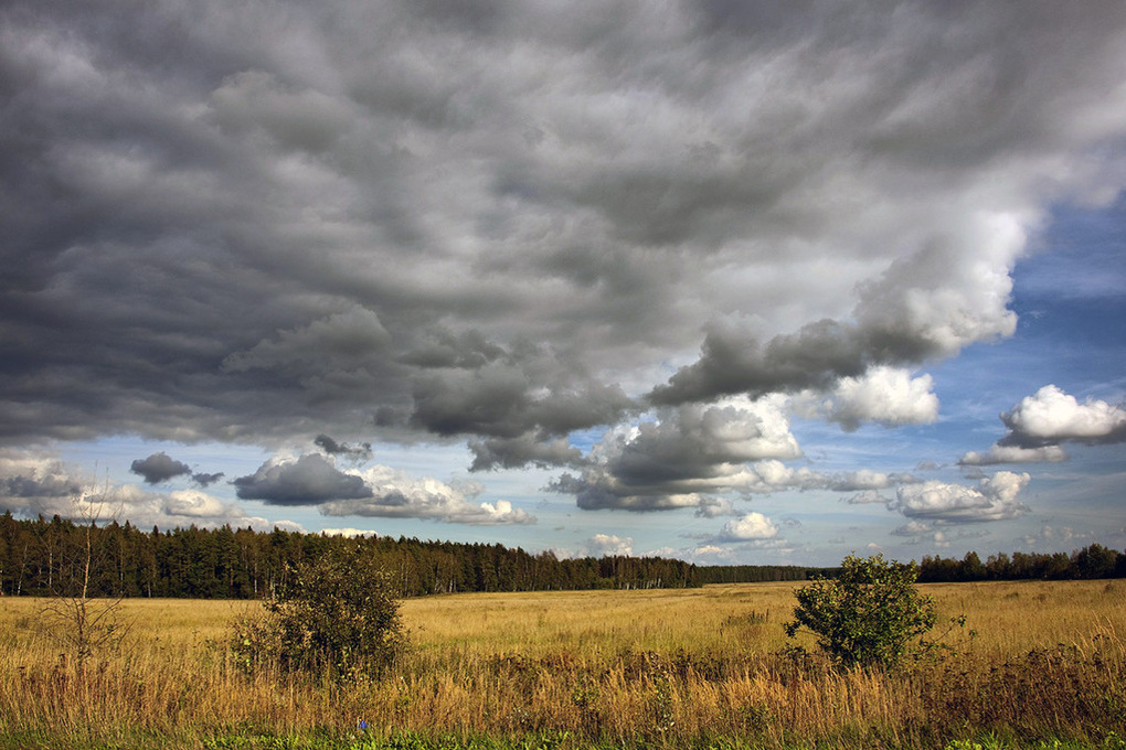 Облачной и с осадками будет эта суббота для псковичей