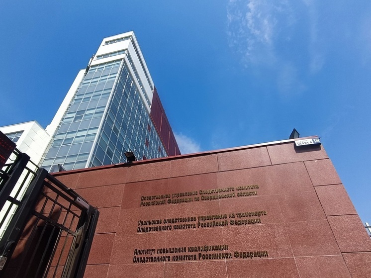 Двух жителей Екатеринбурга обвиняют в избиении мужчины до смерти в переулке Широком