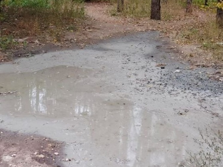 Воронежцы вылили бетон в Северном лесу