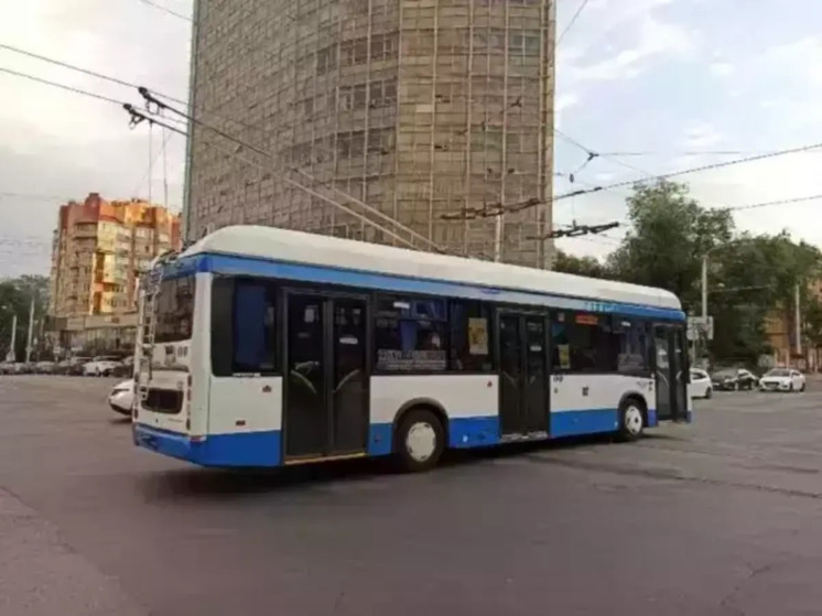 Город-миллионник Ростов-на-Дону рискует остаться без троллейбусов