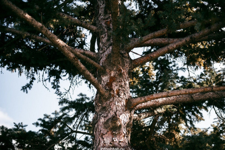 День Харитины 18 октября 2025: традиции, приметы и что нельзя делать