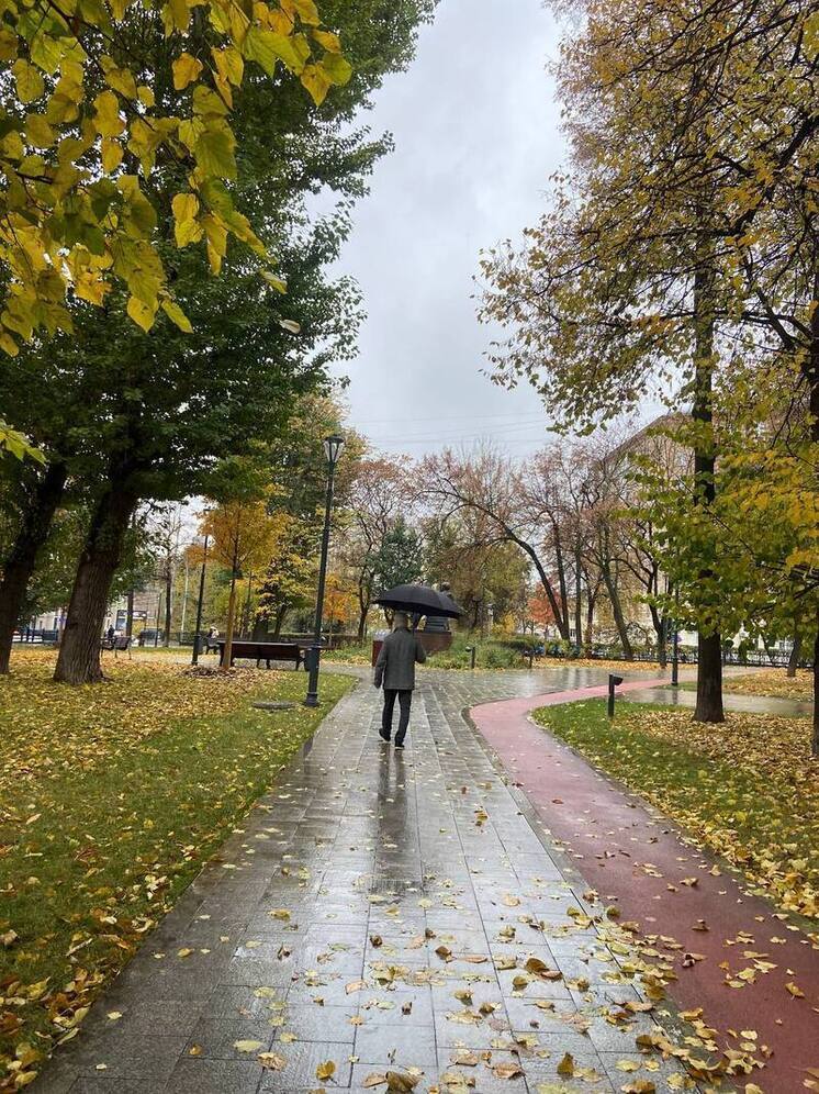 Метеоролог Сафонов: в последние годы наблюдается резкая смена времен года