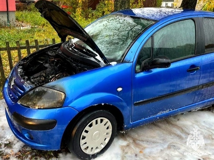 В Сафоновском районе огонь сильно повредил легковушку