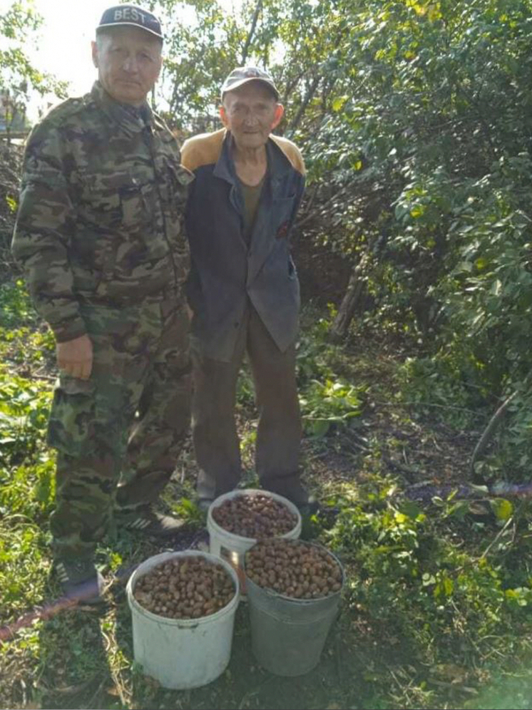 В Орловской области продолжается экоакция по сбору желудей