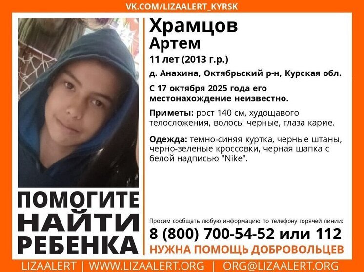 В Курской области ищут пропавшего 11-летнего мальчика