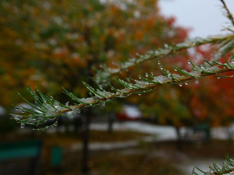 Дождь и гололедица ожидают южноуральцев в выходные