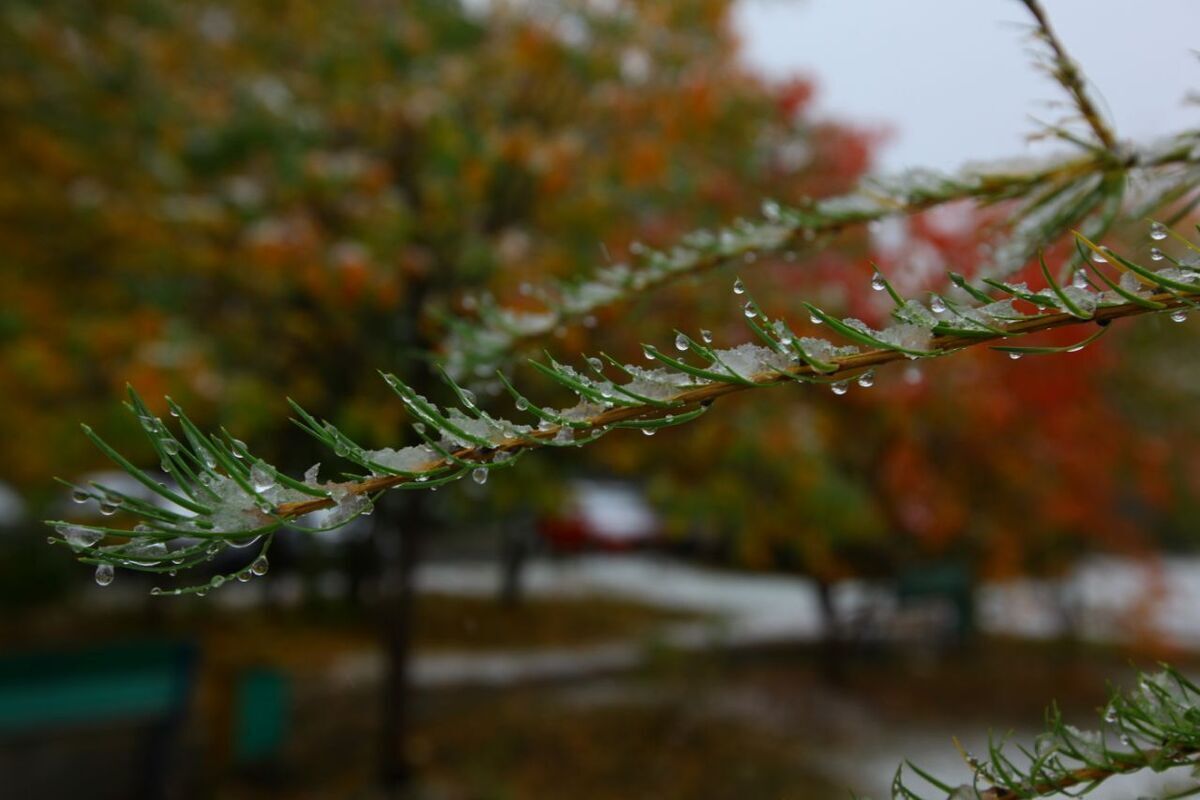 Дождь и гололедица ожидают южноуральцев в выходные