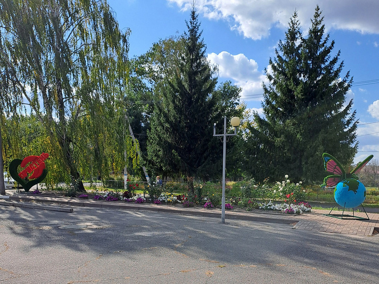 На центральной площади курского посёлка Пристень установили топиарные фигуры