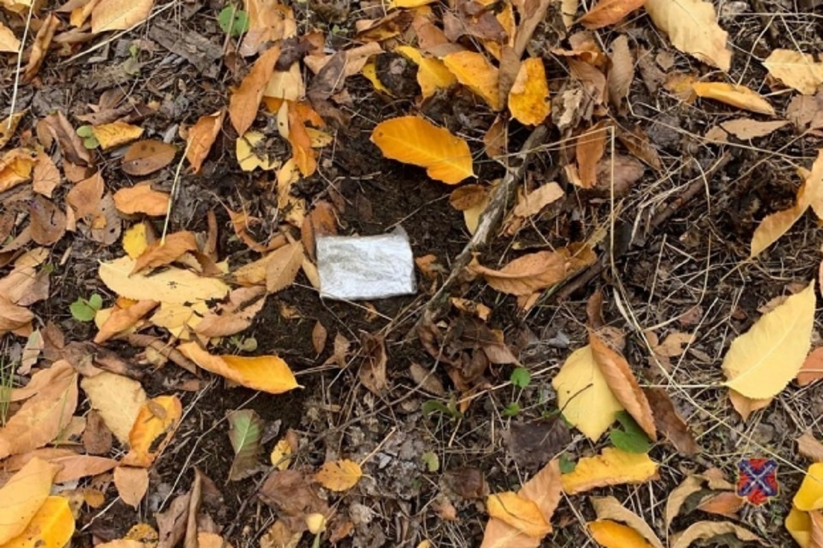 42-летнюю волжанку задержали за покушение на сбыт наркотиков