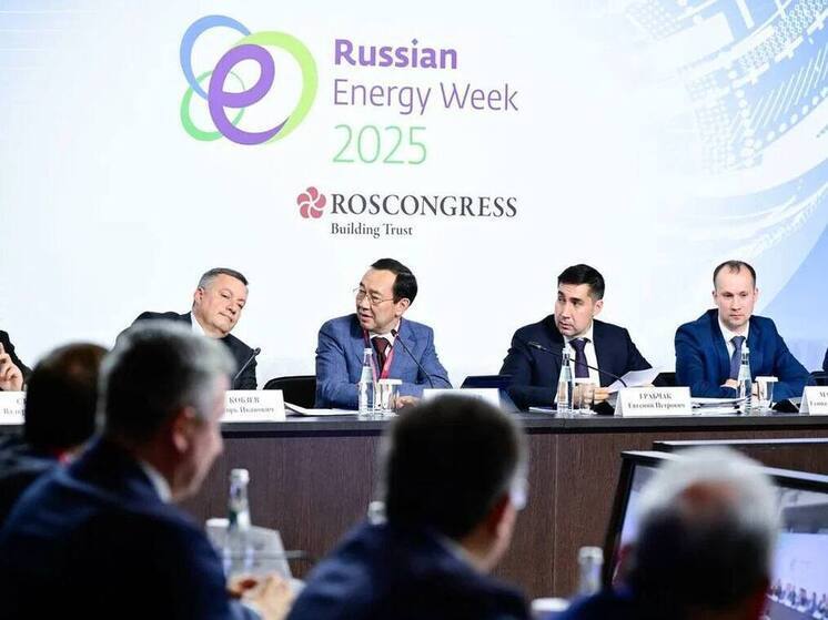 Комиссия Госсовета обсудила повышение надёжности электросетей регионов